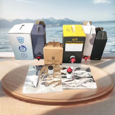 کیسه سطحی بافت دار در جعبه ظرف پلاستیکی با اسپوت مناسب برای کاربردهای بسته بندی مایع درجه غذایی